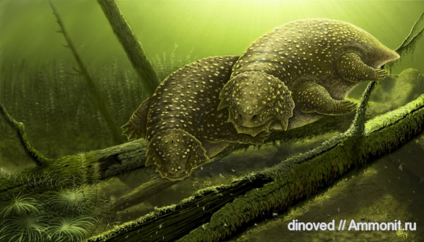 пермь, пермский период, реконструкция, палеоарт, Scutosaurus karpinskii, Скутозавр