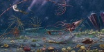 "Море ордовика Ленобласти"