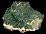 Сильно агатизированная древесина, Орегон