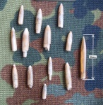 Белемниты рода Hibolithes