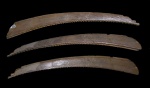 Acondylacanthus remotus
