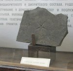 морская звезда