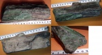 Окаменевшее дерево 18 см