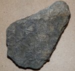 Палеозойский коралл