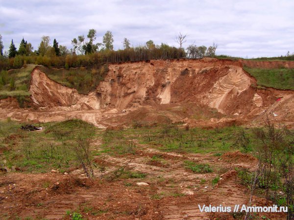 юра, средний карбон, Клусово, Jurassic