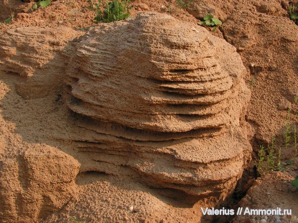 карбон, юра, четвертичный период, карьер Клусово, Jurassic