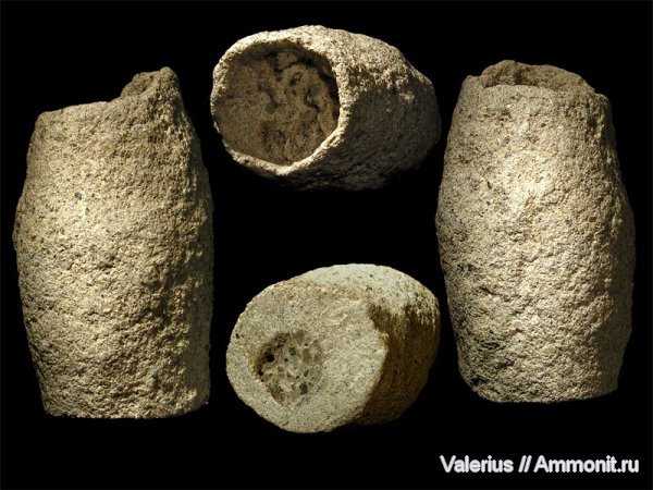 мел, ходы ракообразных, Варавино, Cretaceous