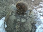 наутилус