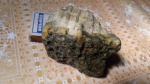 карбонский коралл.