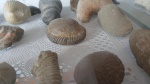 музей из аула купа .1.