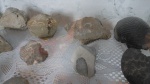 музей из аула купа.3.