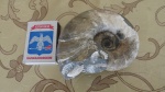 свежий улов