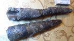 белемниты с баёса белемниты с баёса