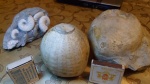 крупные ежи
