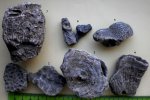 Юрские кораллы Крыма Юрские кораллы Крыма