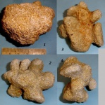 Губка меловая - Barroisia anastomosans.