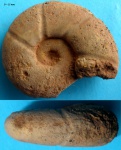 Подарки,  покупки,обмен