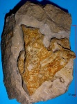 губка-24