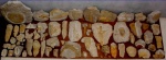все мои губки