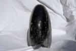 AMMONITE WHOLE GONIATITE - 3