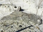 Бревно в песчанике