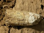 Elasmotherium. Зуб N 2. Вид 2.