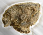 Elasmotherium. Зуб N 2. Жевательная поверхность.