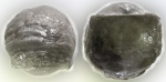 Globiella hemisphaerium (Kutorga, 1844)