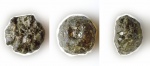 Etheridgea
