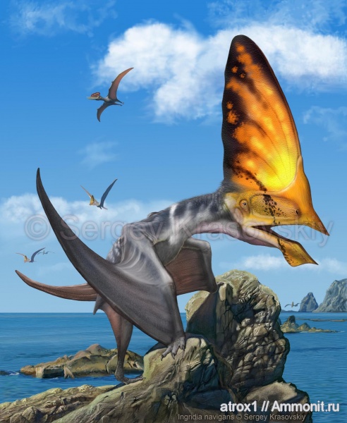 птерозавры, Ingridia navigans, Ingridia
