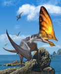 Ingridia navigans