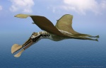 Tropeognathus mesembrinus
