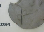 Граптолит