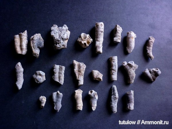 Челябинская область, Серпиевка