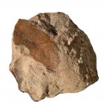 Флора