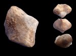 Lacunosella