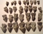 Hadrocheilus