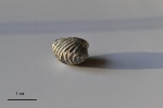 Belbekella