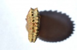 Neocosmoceras euthymi (Pictet)