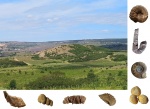 Балаклавская долина