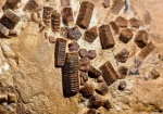 Margocrinus
