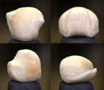 Меловая брахиопода Cretirhynchia sp.