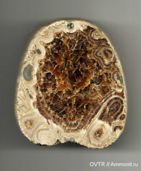 нижний мел, апт, Дагестан, полировка, Северный Кавказ, Aptian, Lower Cretaceous
