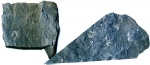 Sphenophyllum