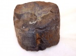 Отливка ствола Calamites
