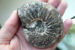 V. Gerassimovi!