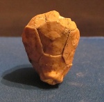 Hemicosmites