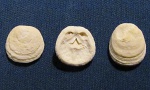 Crania craniolaris