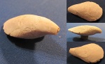 Weberithyris moravica