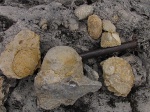 Открытие сезона 2012